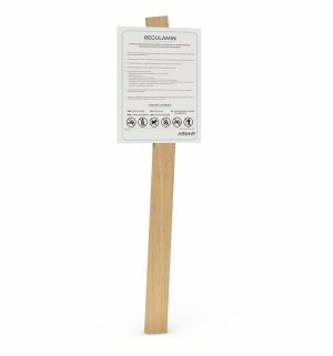 Regulamin na jednej nodze